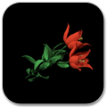 Escape Game: Red Flower
